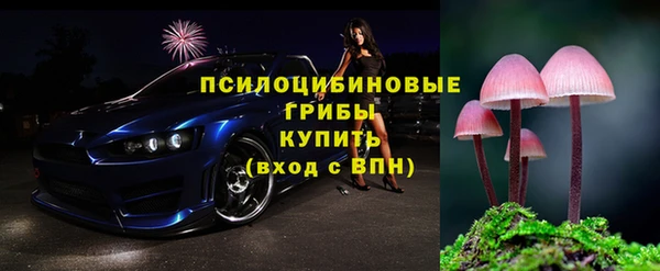 сатива Володарск