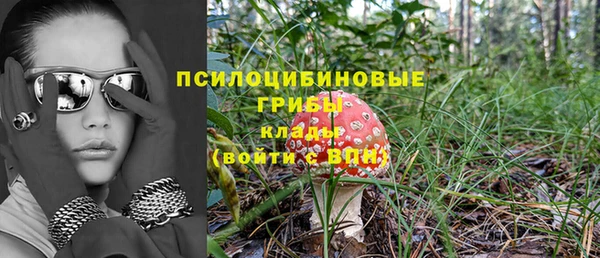 МДПВ Бронницы